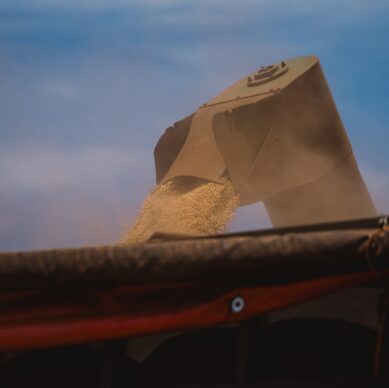 Photo Doctors working