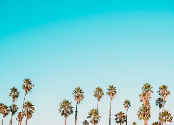 Photo Medtech adoption