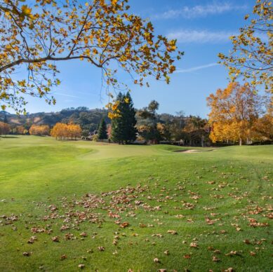 Photo AI-Powered Medicine