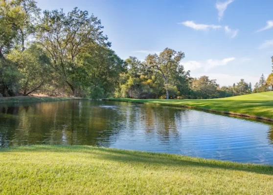 image-4 Photo AI Strategy